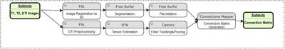 Diffusion Tensor Imaging Group Analysis Using Tract Profiling and Directional Statistics